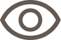 Vision